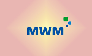 ✓ MWM ������������������������������������������������������������  